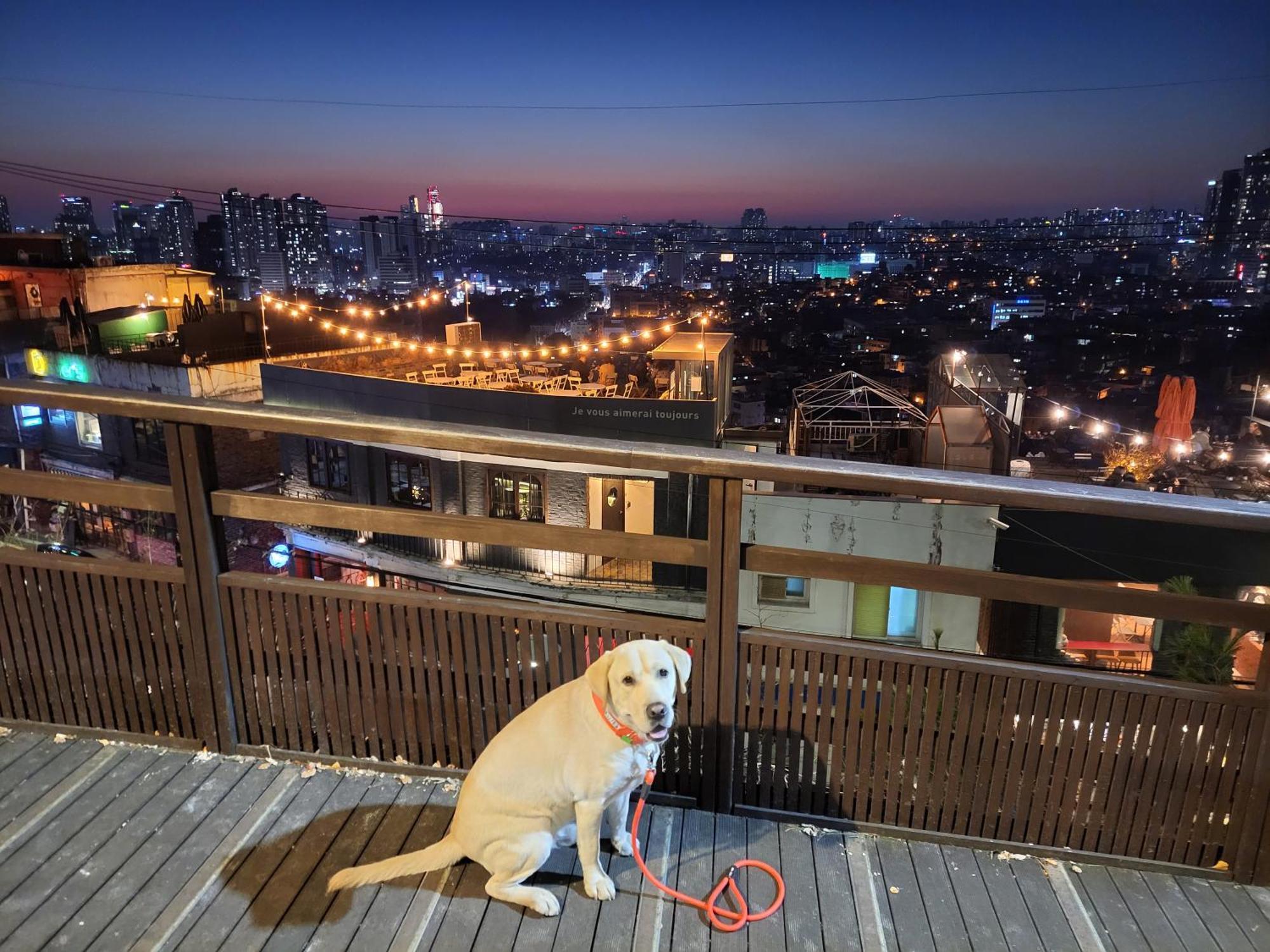 On The Main Street Of Hbc #4 Villa Seoul Exterior photo