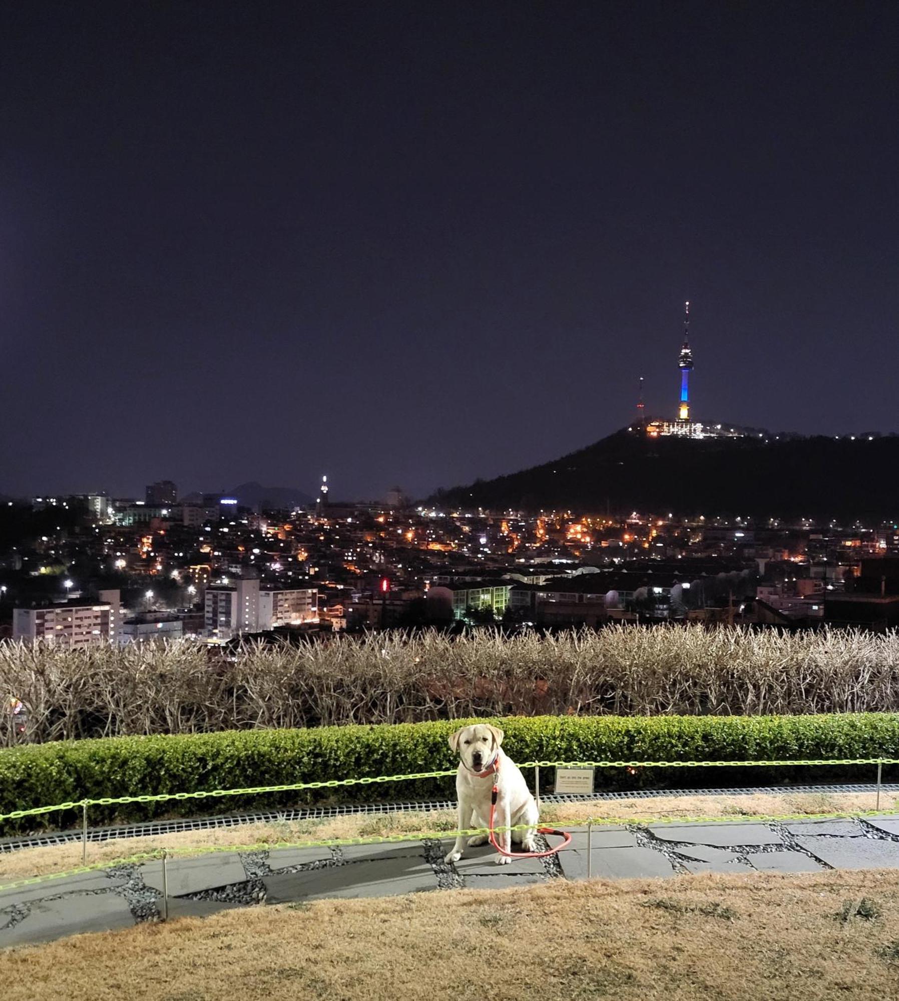 On The Main Street Of Hbc #4 Villa Seoul Exterior photo